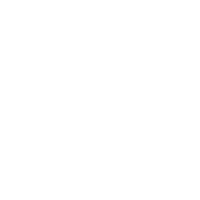 International Organization