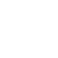 TSE